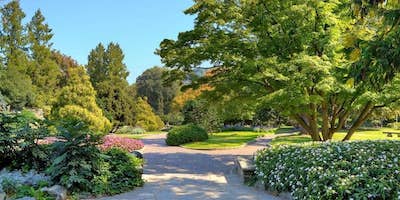 Piemonte Green: alla scoperta delle province di Biella e Torino, dai parchi ai campi da golf 